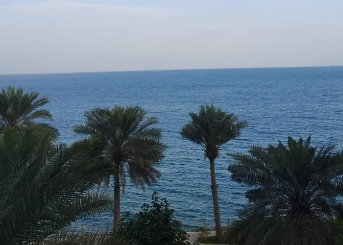 Au 79 Code - Address Beach Resort Fujairah - Apartments