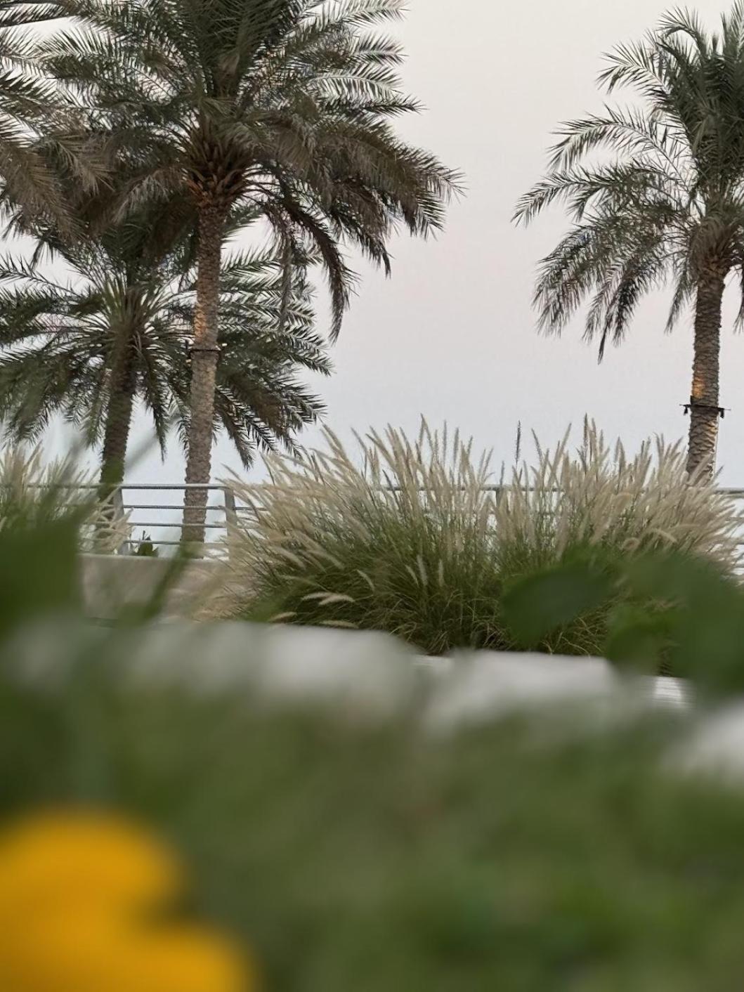 Au 79 Code - Address Fujairah - Apartment