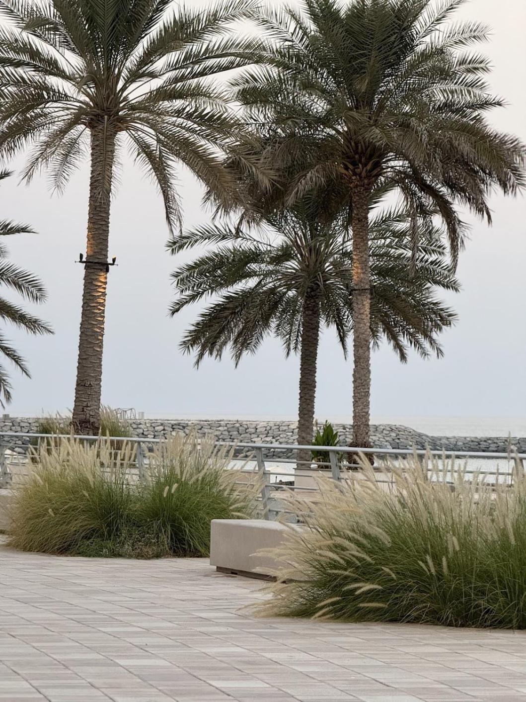 Apartment Au 79 Code - Address Fujairah - *