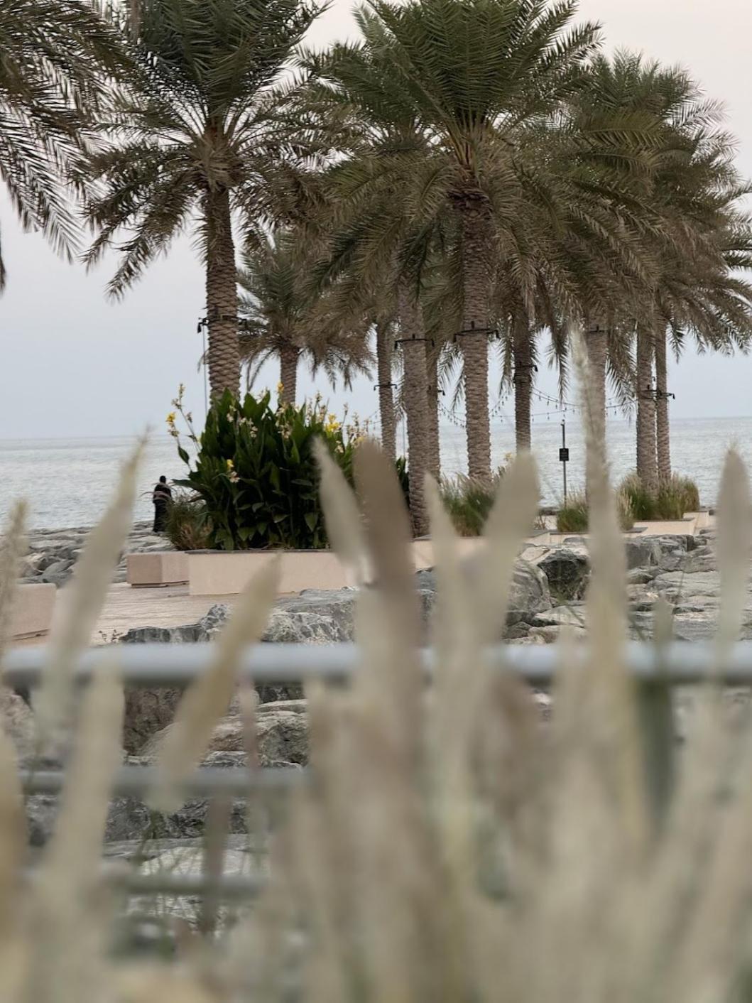 Apartment Au 79 Code - Address Fujairah -