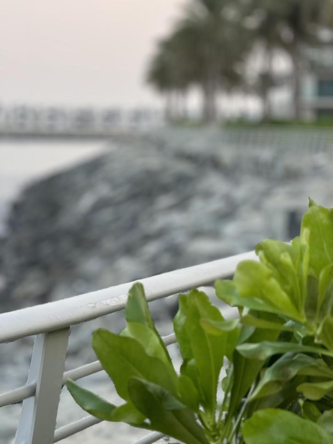 Au 79 Code - Address Fujairah - Apartment *