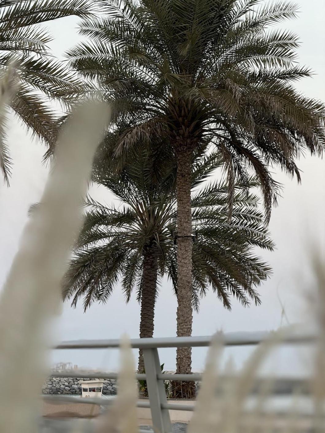 Au 79 Code - Address Fujairah -